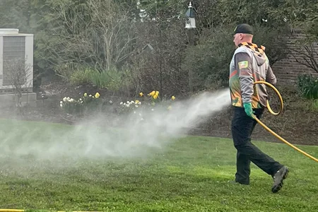 spraying lawn, mosquito and tick control