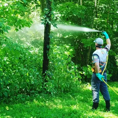 spraying for ticks and mosquitos