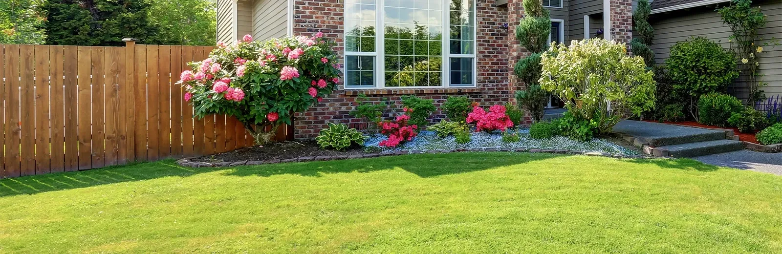 vibrantly green lawn in sun
