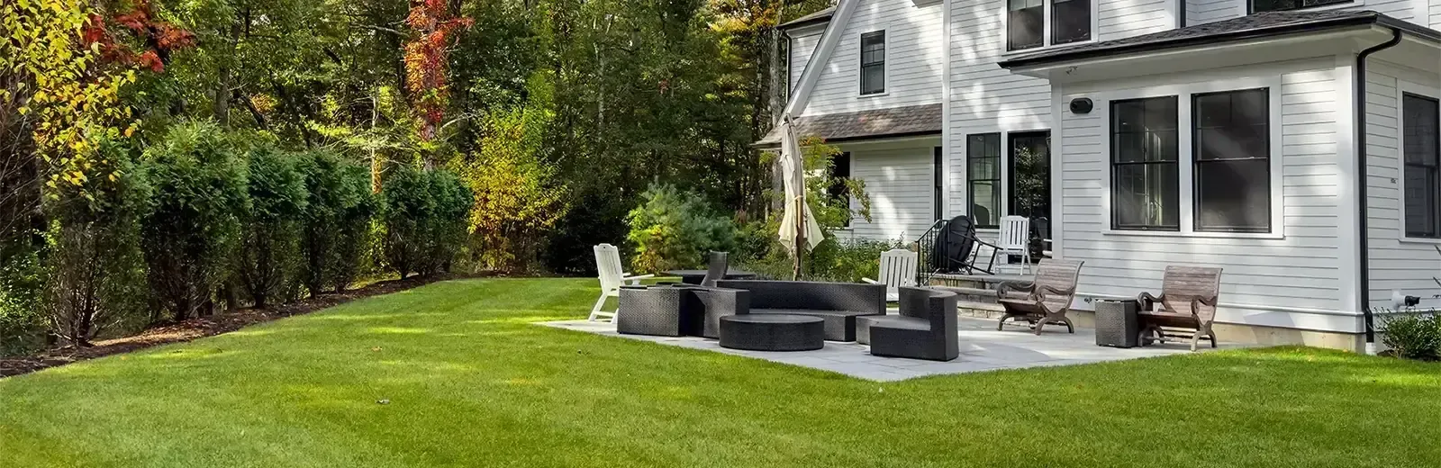 a Lush green bug-free backyard