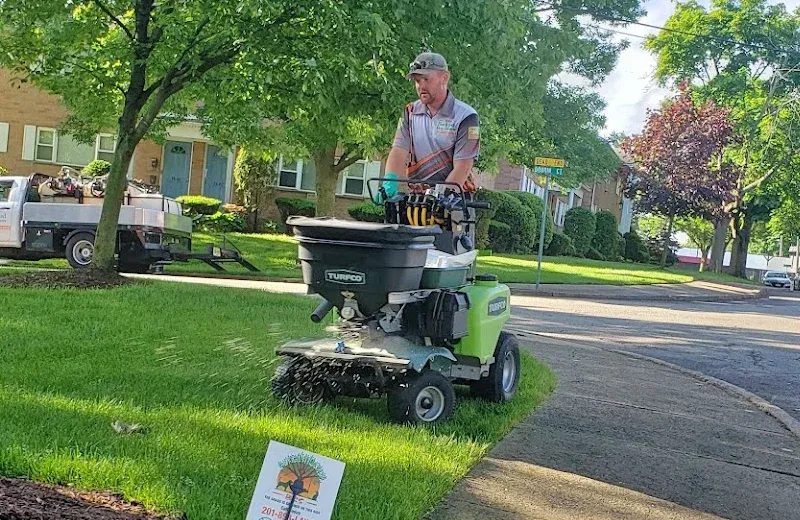 fertilizing lawn