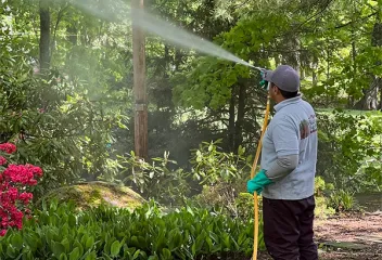 spray