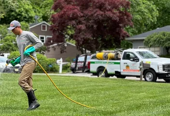 lawn