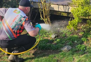 tick and mosquito control