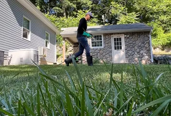 lawn