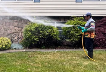 spray