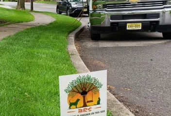 lawn