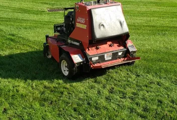 lawn