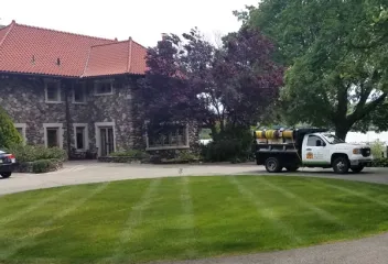 lawn