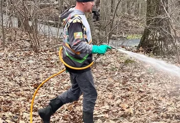 tick and mosquito control