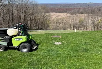 lawn