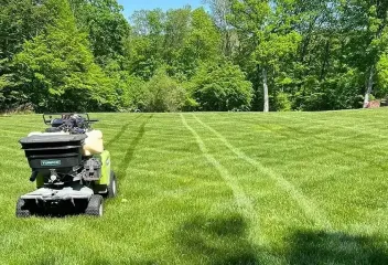lawn