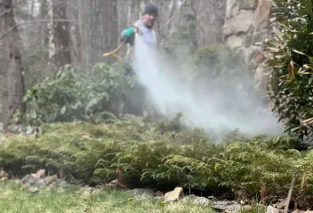 tick and mosquito control