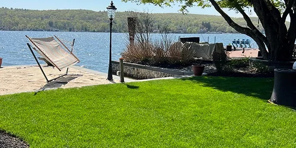 lawn