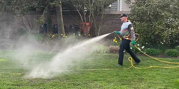 spraying ticks and mosquitos